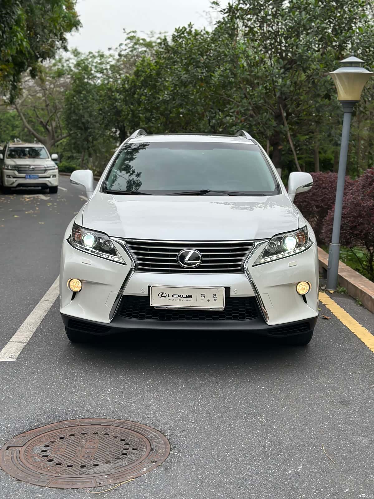 Lexus RX, 2013 2