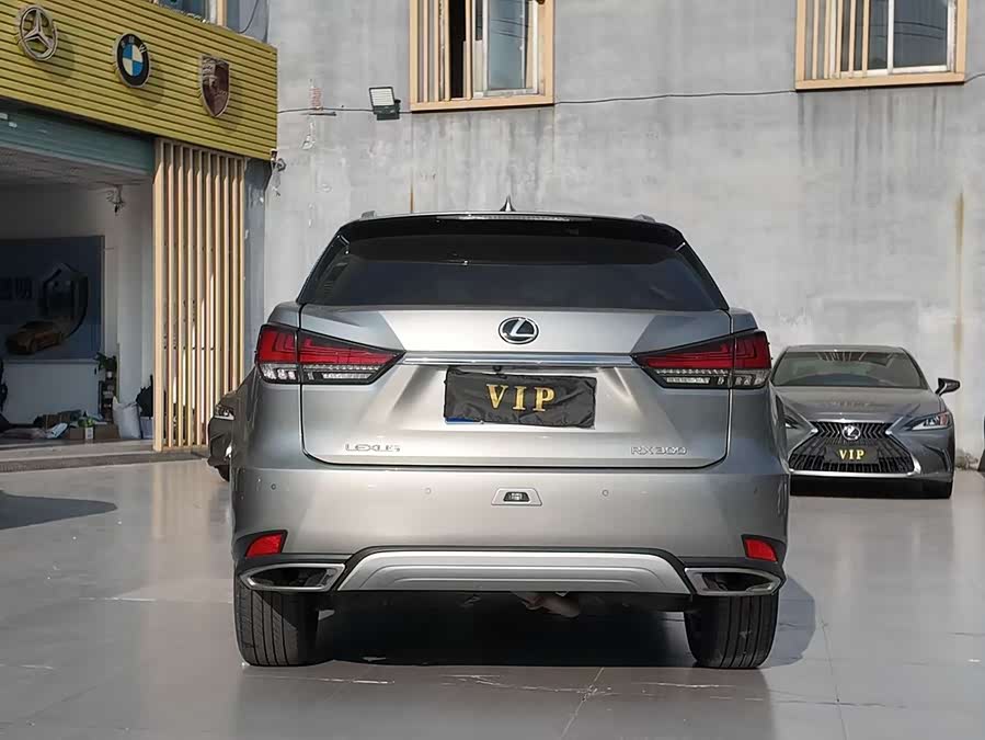 Lexus RX 2022, фото 4