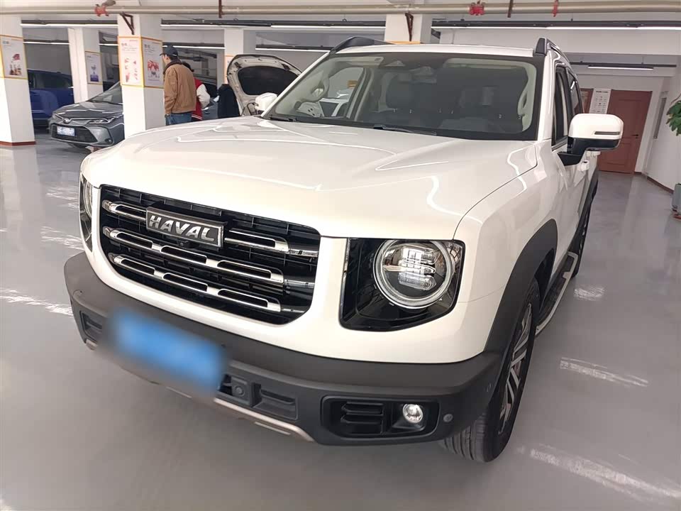 Haval Big dog