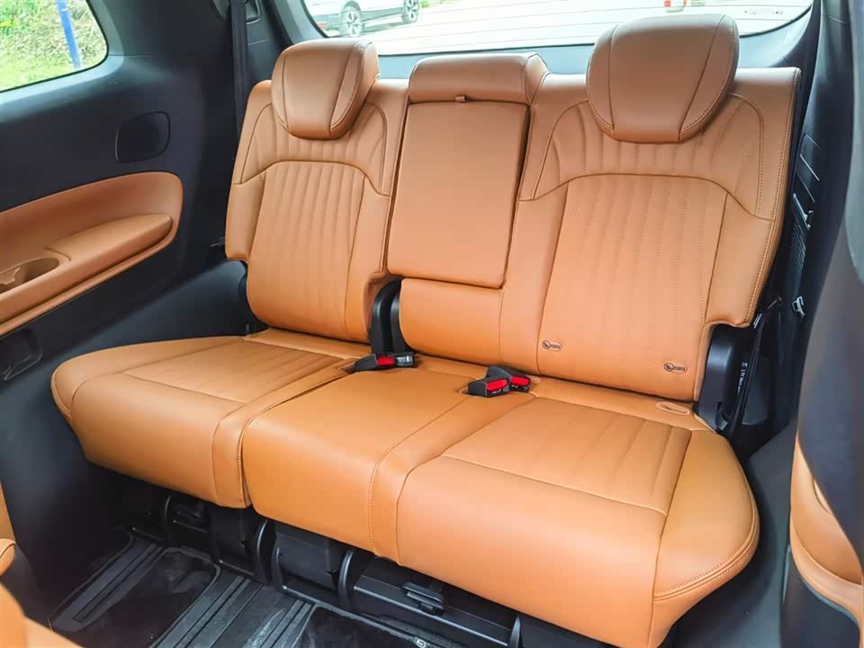 Trumpchi Trumpchi E9