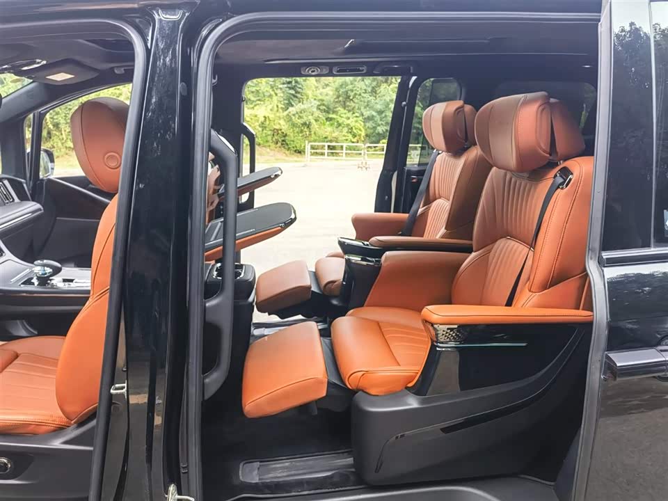 Trumpchi Trumpchi E9