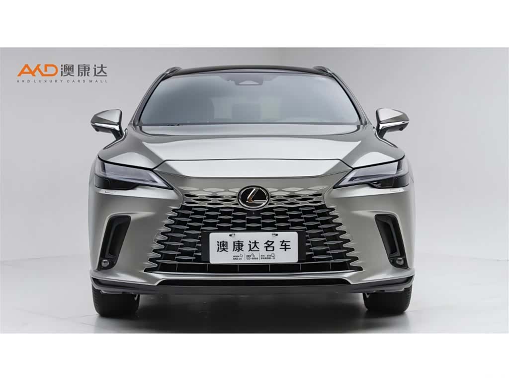 Lexus RX, 2023 2