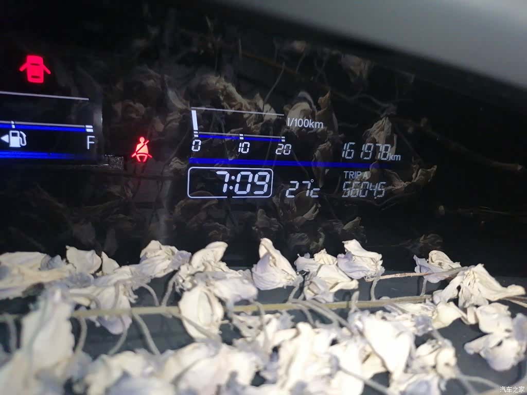 Honda Jade, 2016 все фото