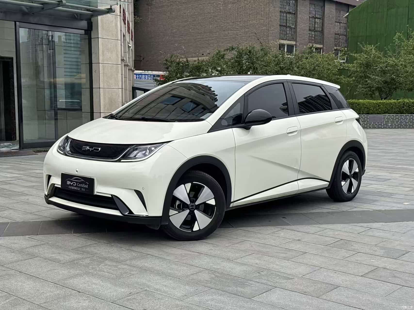 BYD Dolphin, 2023 1