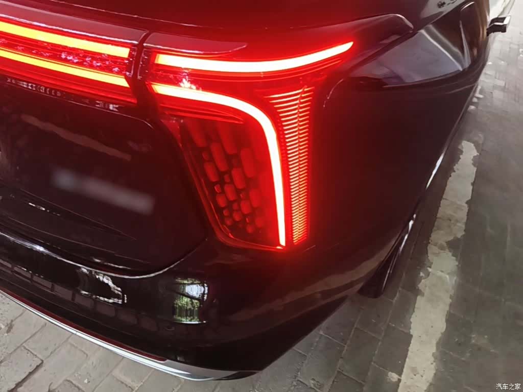 Hongqi E-HS9, 2023 8