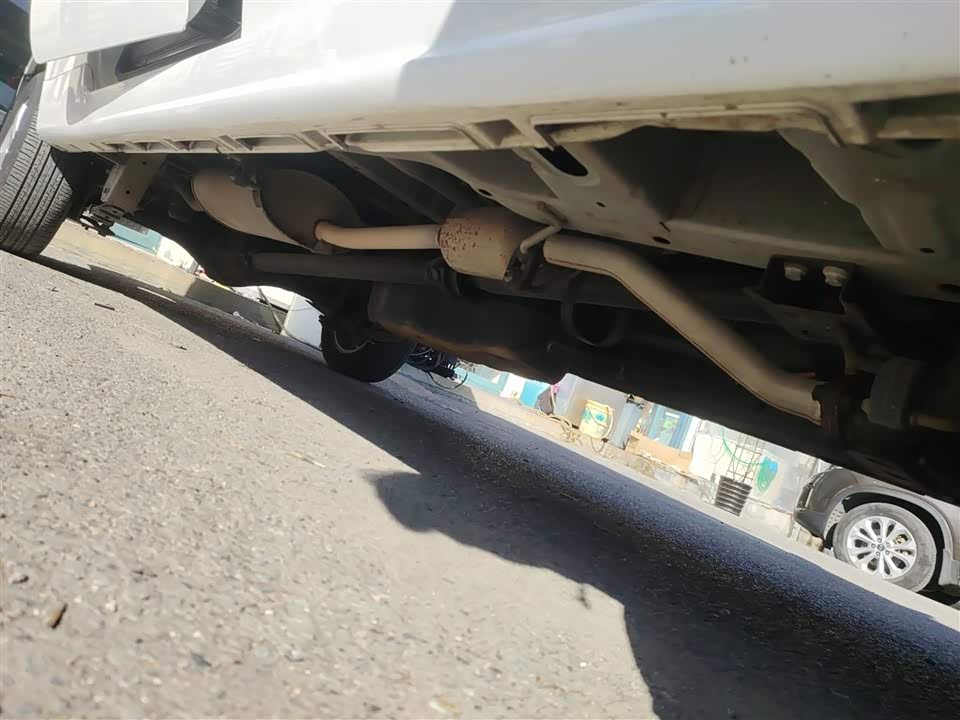 Jinbei Golden Sea Lion Classic