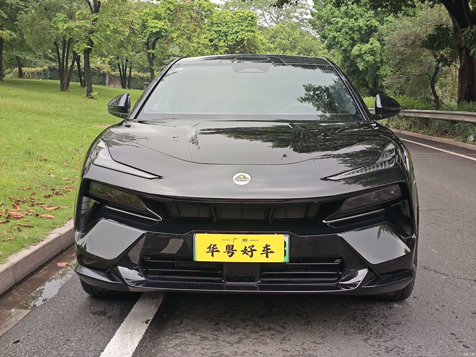 Lotus FOR, 2026 2