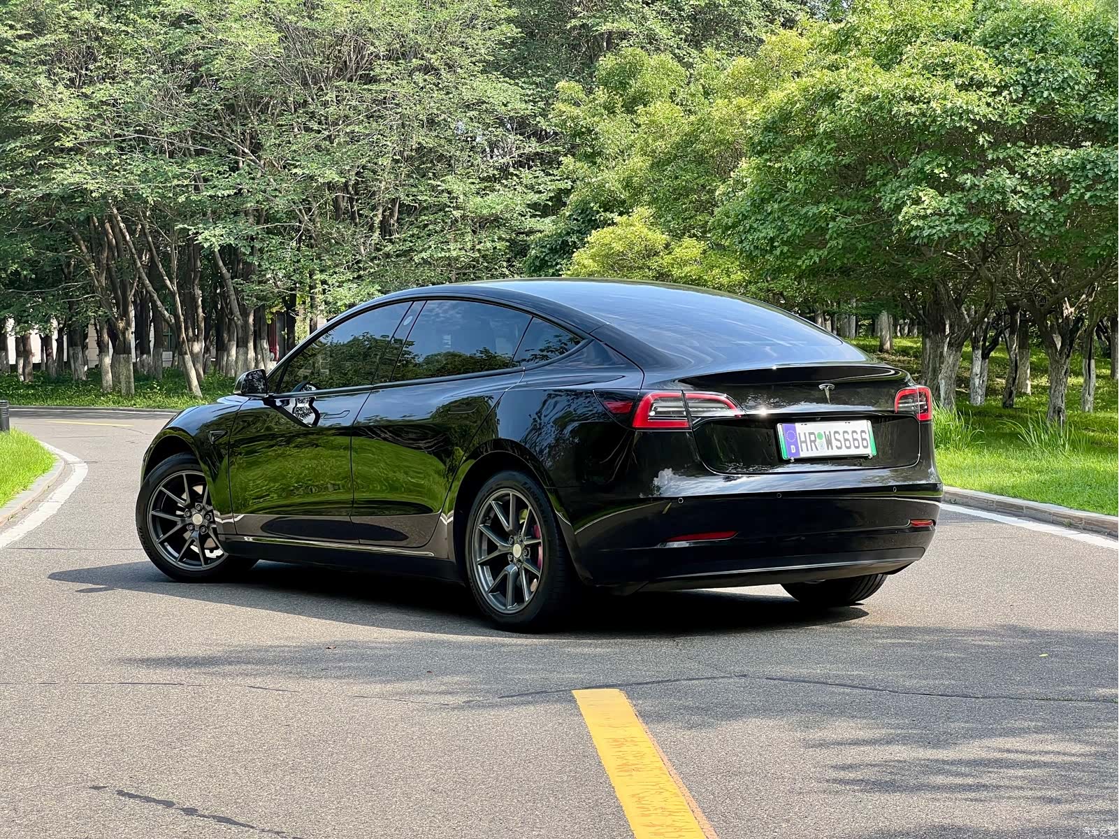 Tesla Model 3, 2021 все фото