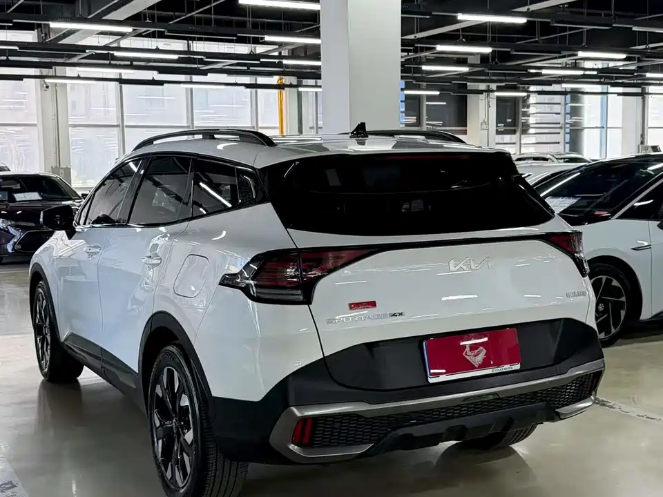 Kia Lion Platinum expands the world