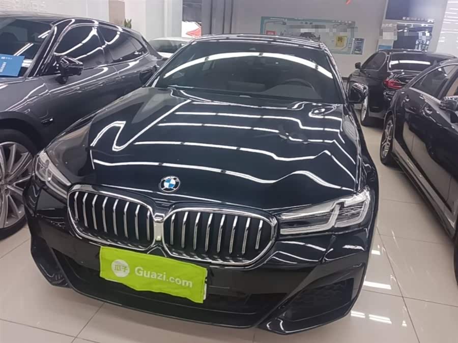 BMW 5 Series New Energy 2021, фото 2