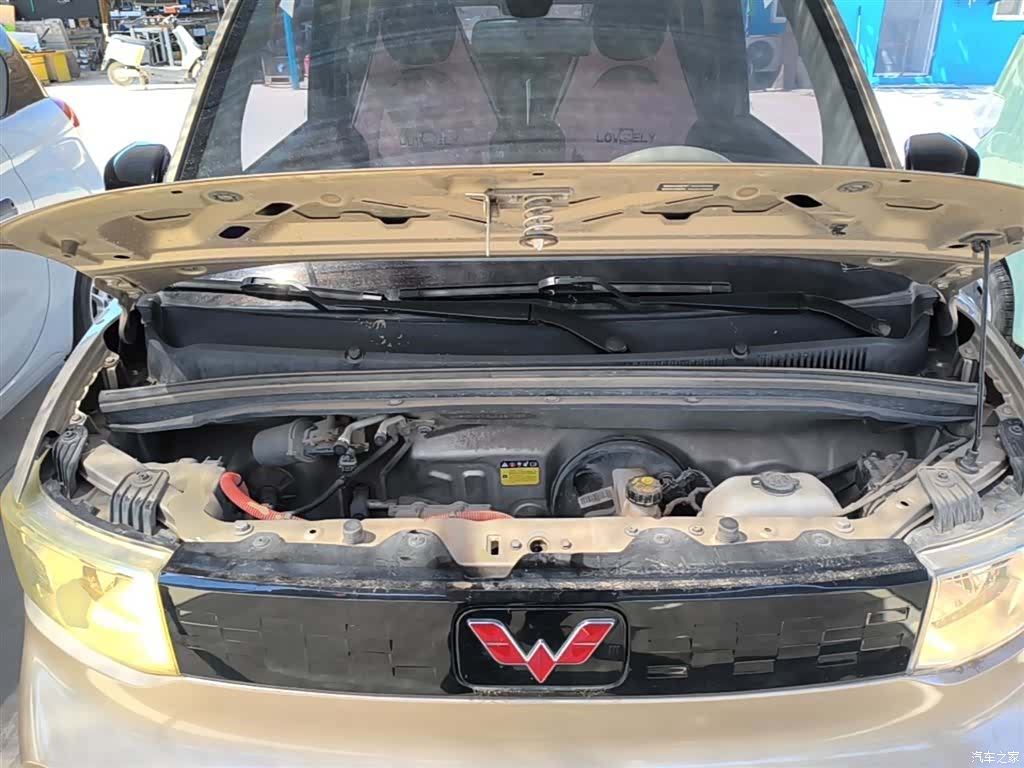 Wuling Yuan, 2021 20