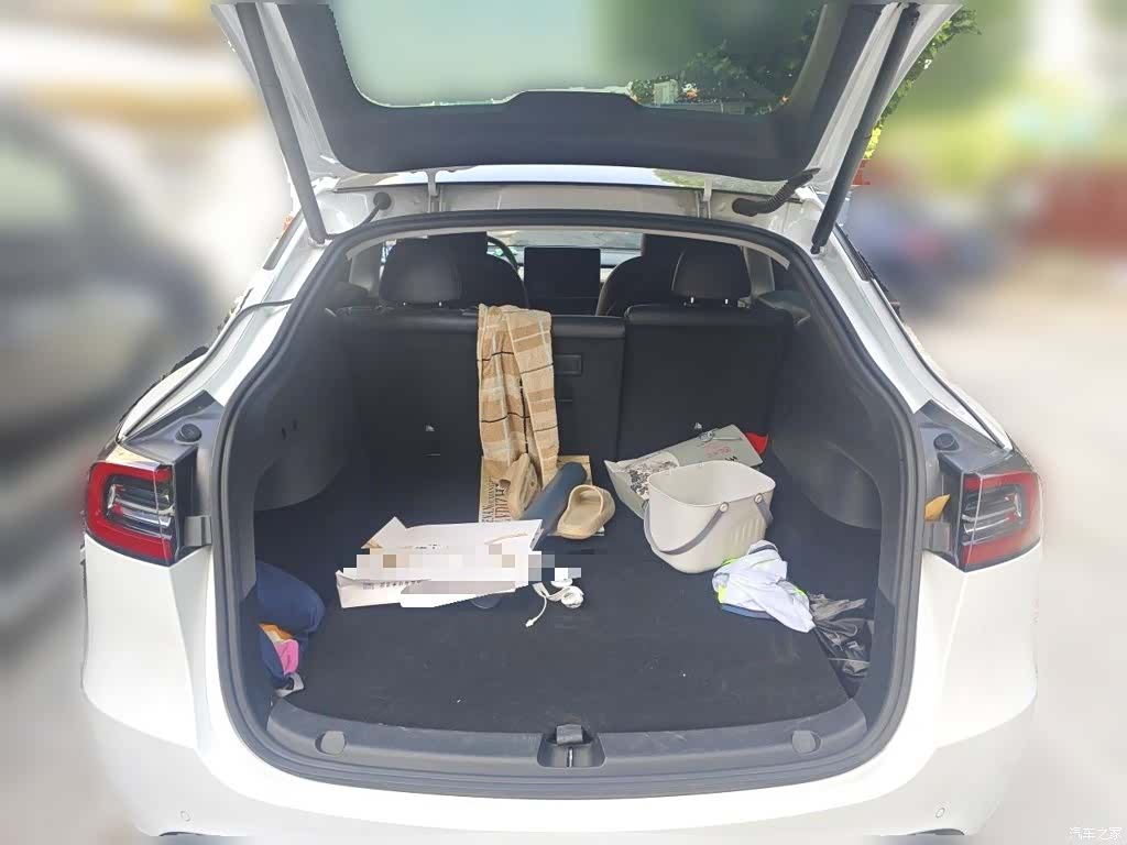 Tesla Model Y, 2021 10