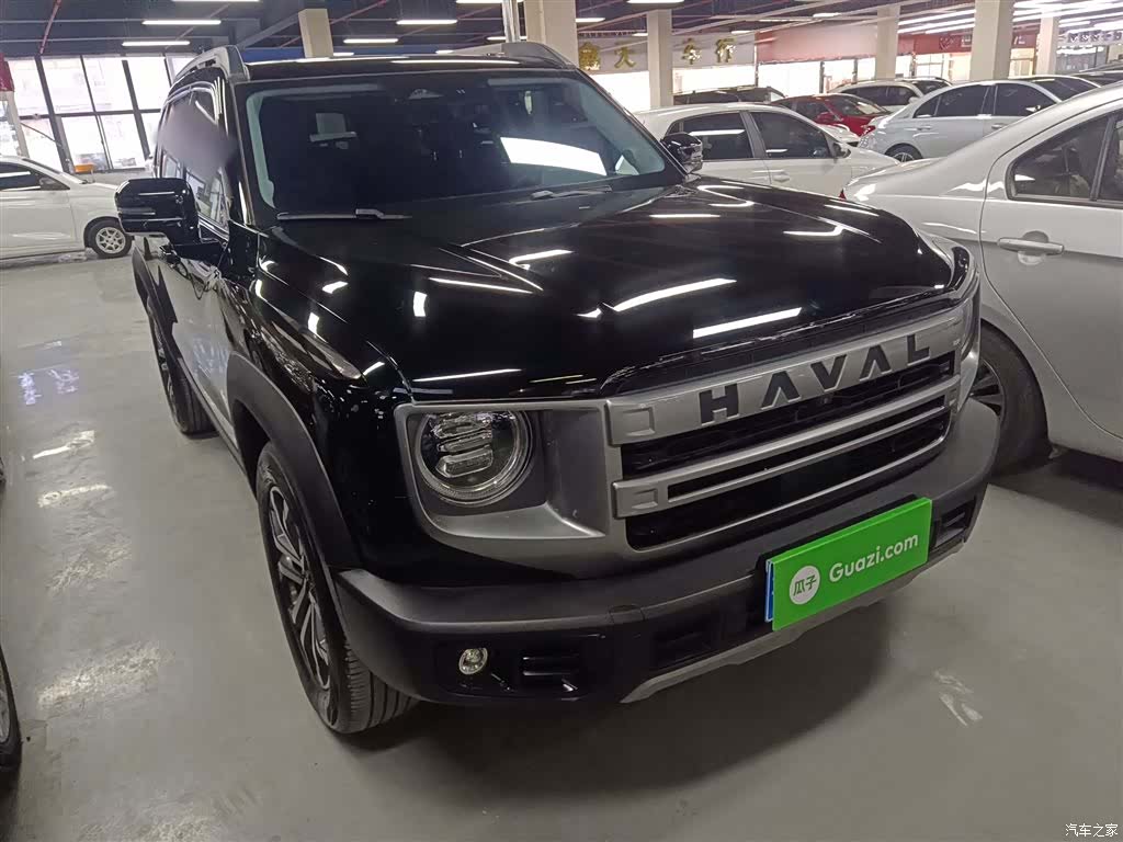 Haval Big Dog, 2024 22