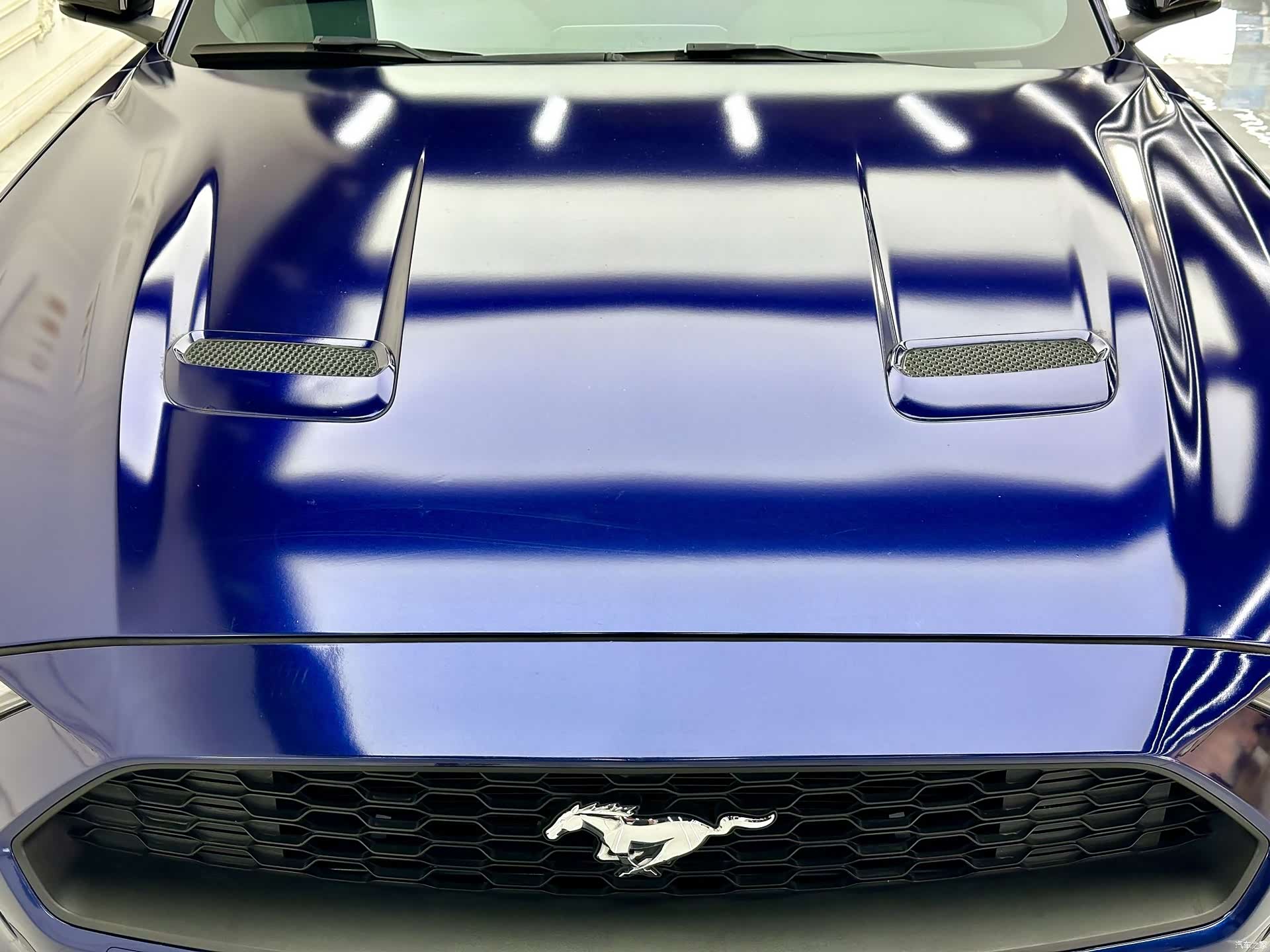 Ford Mustang, 2019 все фото