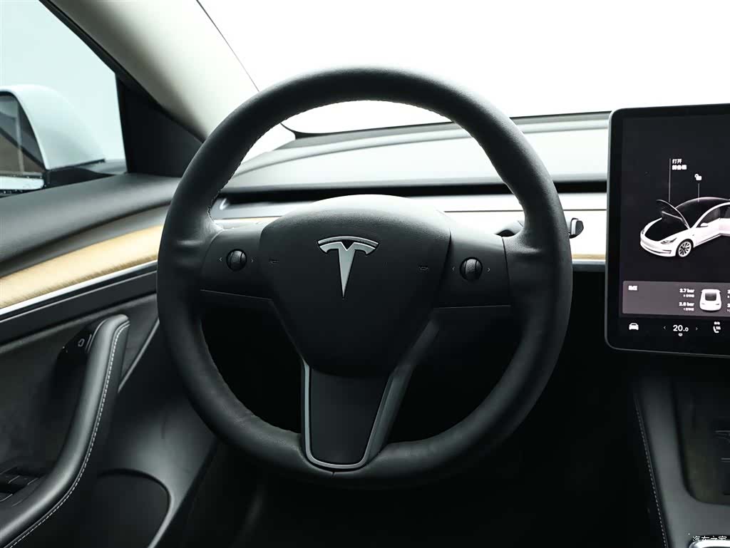 Tesla Model 3, 2021 17