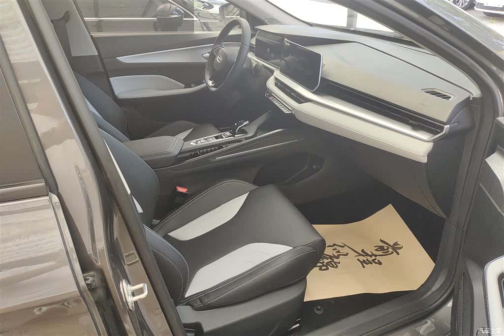 Geely Binray, 2024 8