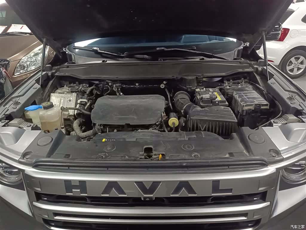 Haval Big Dog, 2024 16