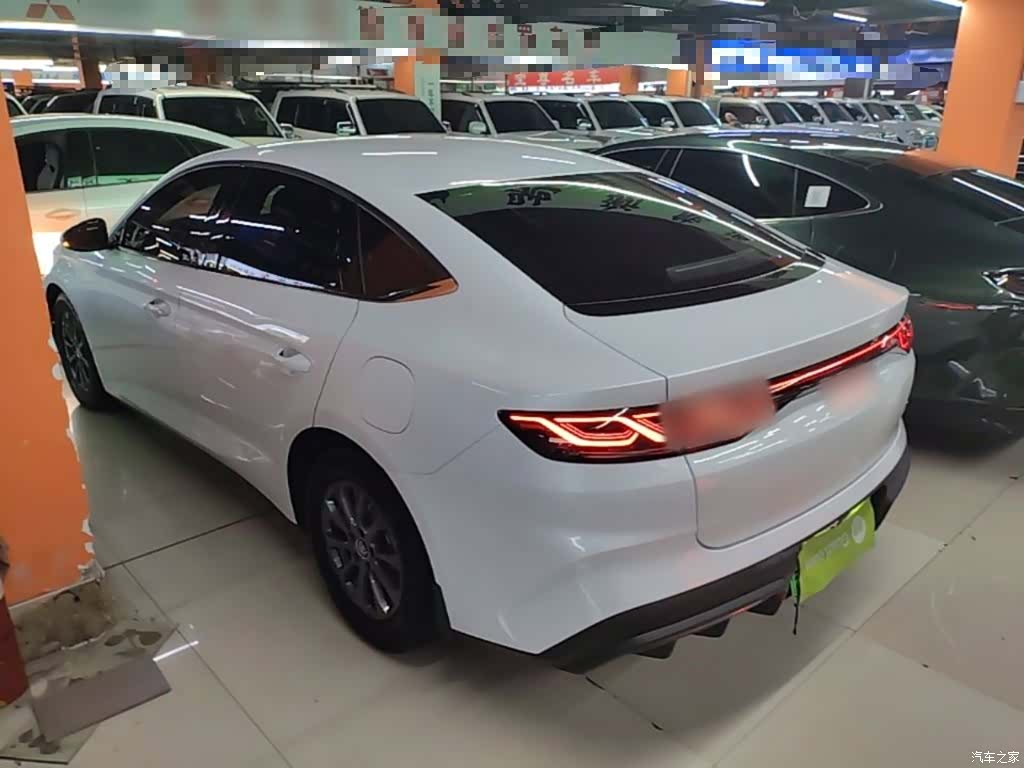 BYD Qin, 2024 все фото
