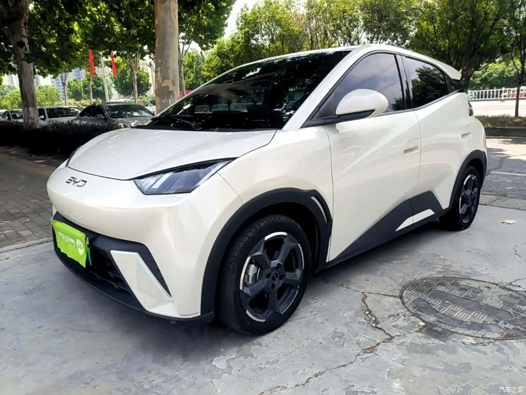 BYD Seagull, 2024 1