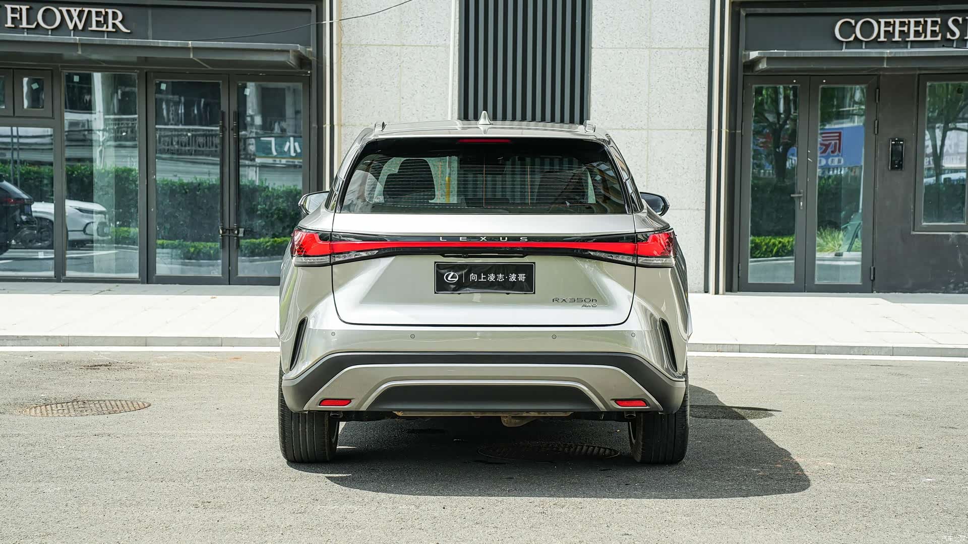Lexus RX, 2023 все фото