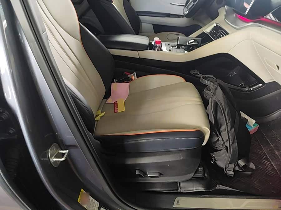 BYD Song PLUS New Energy 2022, фото 25