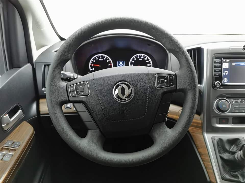 Forthing Lingzhi PLUS