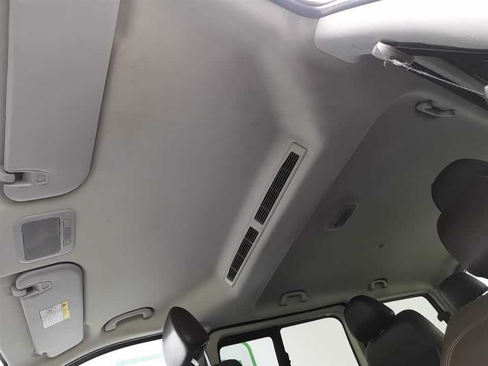 Forthing Lingzhi PLUS