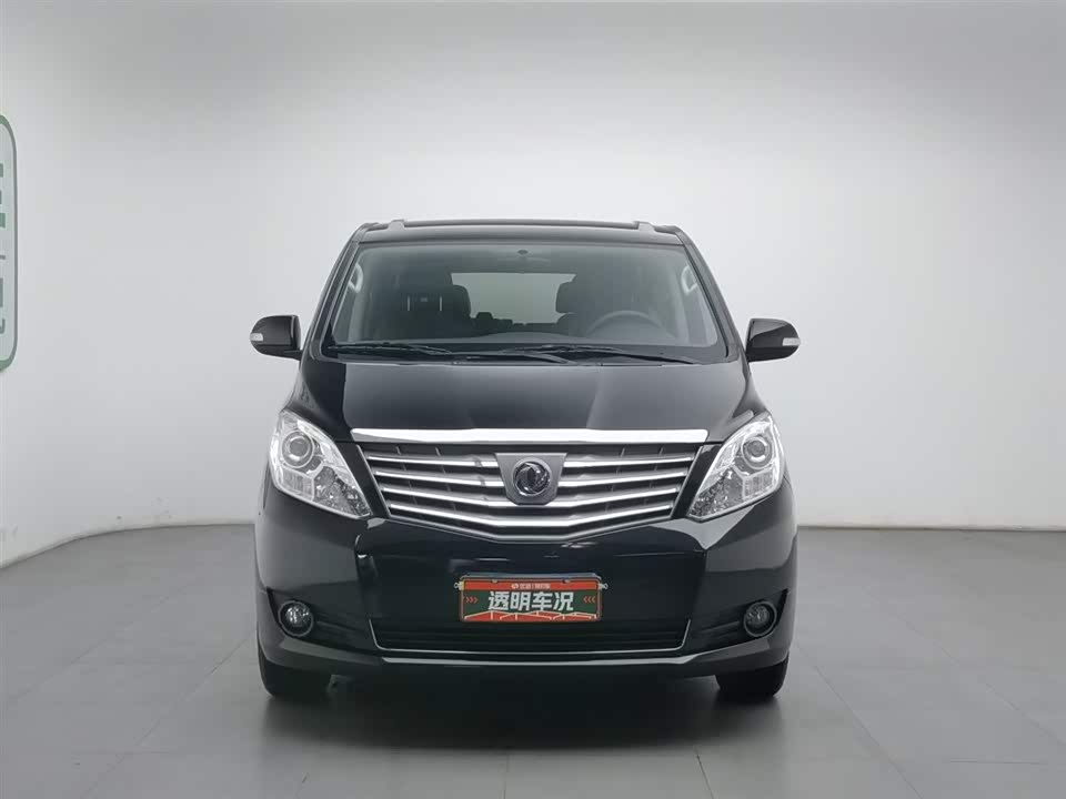 Forthing Lingzhi PLUS