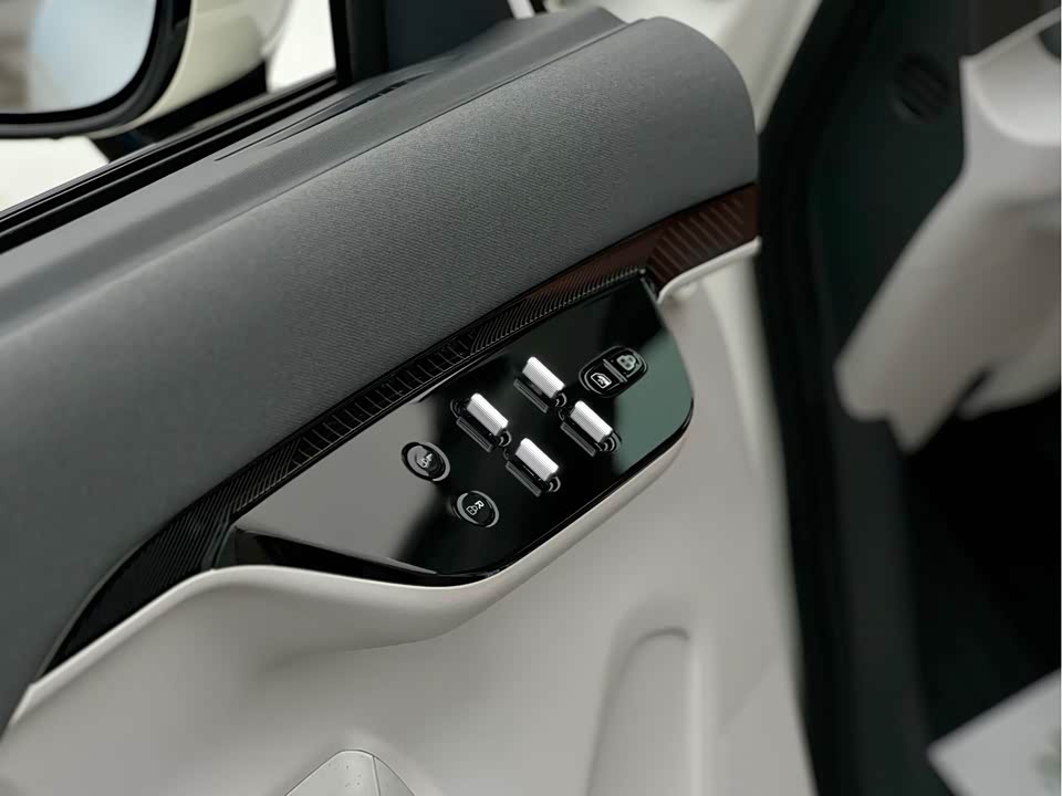 ARCFOX Polar fox koala