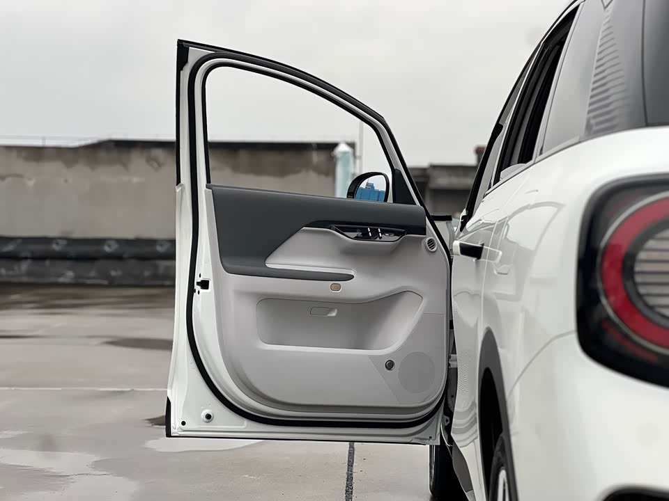 ARCFOX Polar fox koala