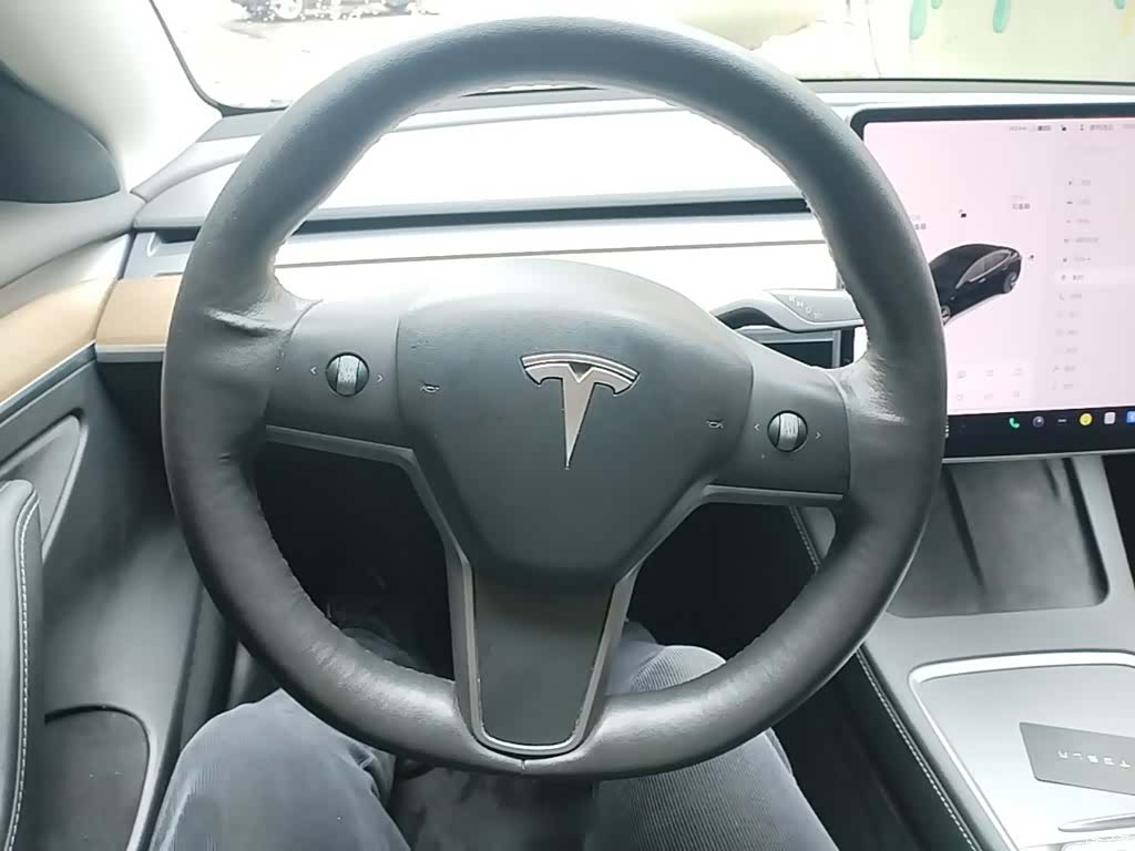 Tesla Model 3, 2021 11