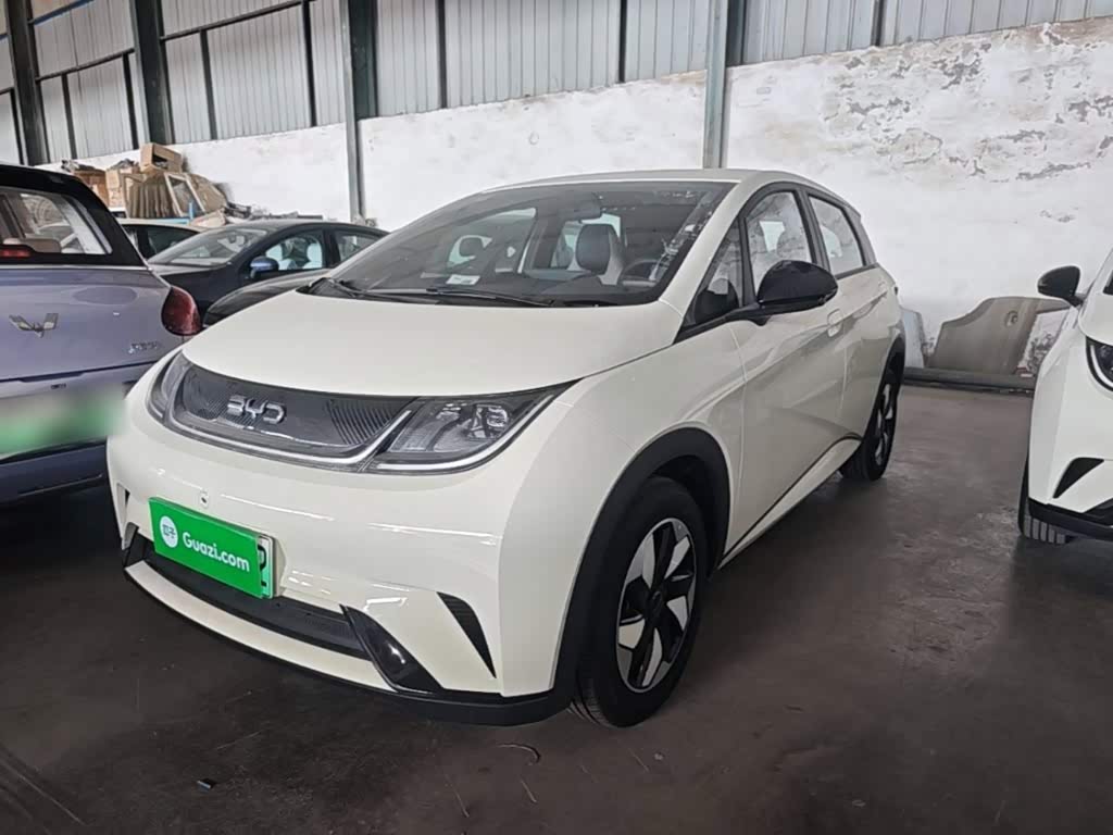 BYD Dolphin 2025 420km Freedom