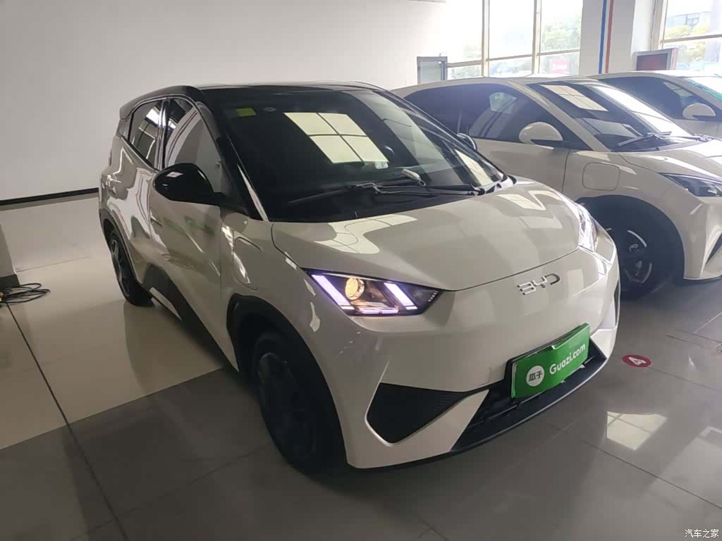 BYD Seagull, 2025 4