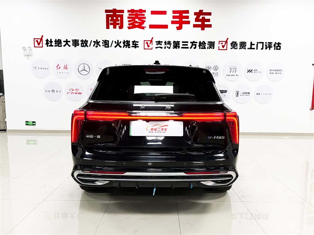 Hongqi E-HS9, 2023 7