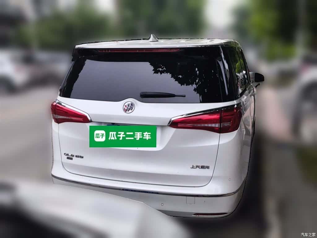 Buick GL8, 2018 все фото