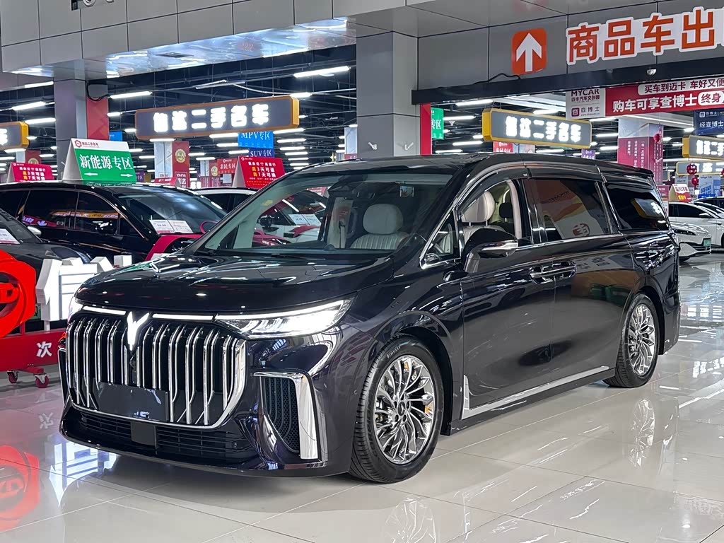 Voyah 2024 PHEV Flagship