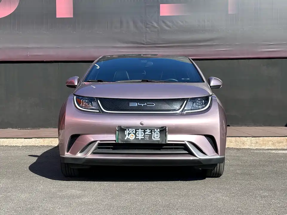 BYD dolphin
