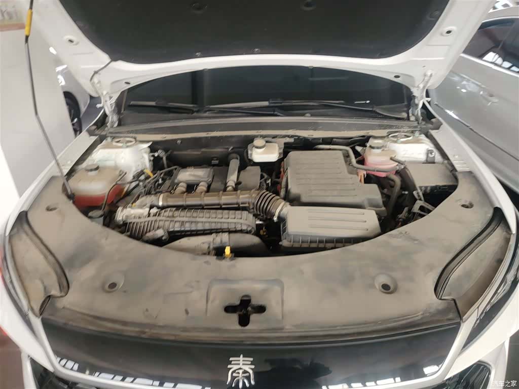 BYD Qin, 2025 20
