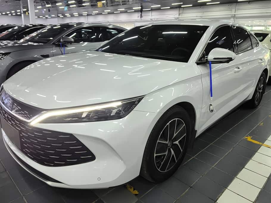 BYD Qin L