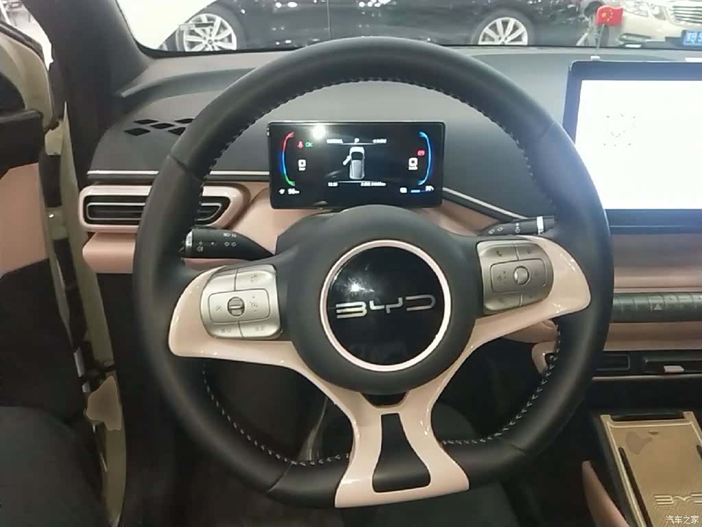BYD Seagull, 2023 11