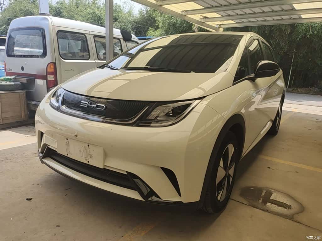 BYD Dolphin, 2024 2
