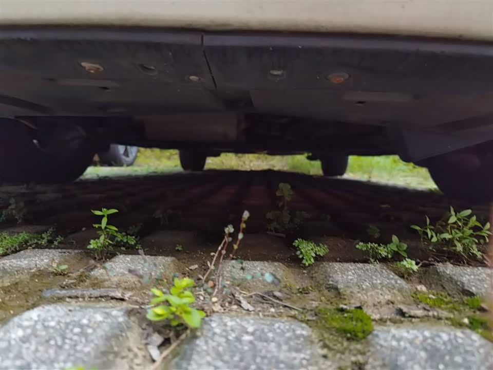 Citroen Sega