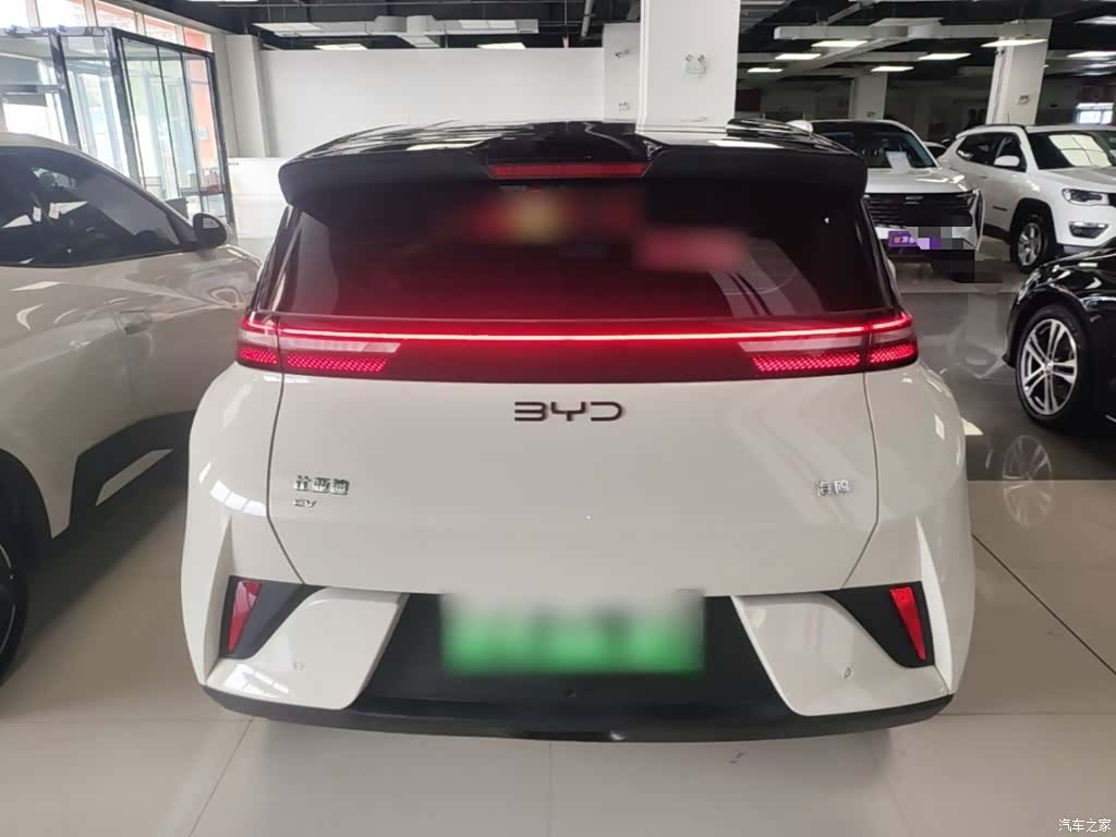 BYD Seagull, 2025 6