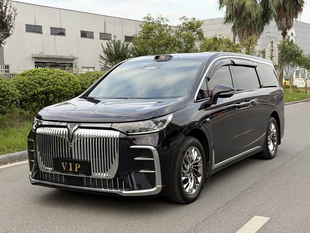 Voyah 2025 PHEV Flagship