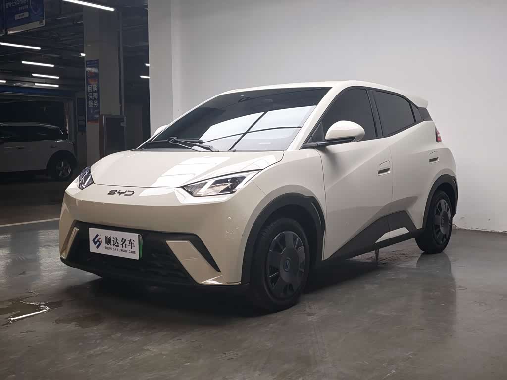 BYD Seagull