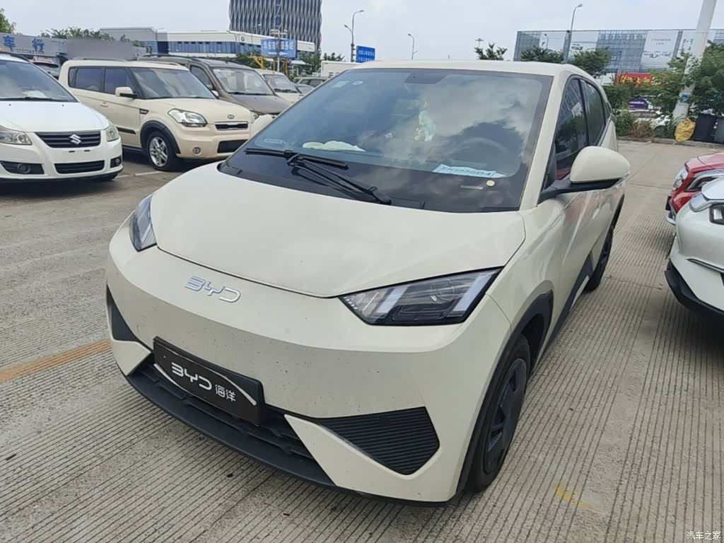 BYD Seagull, 2025 1