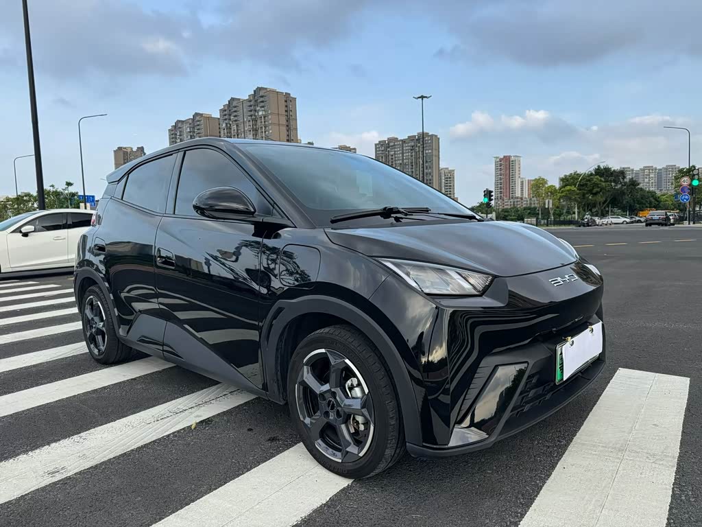 BYD Seagull