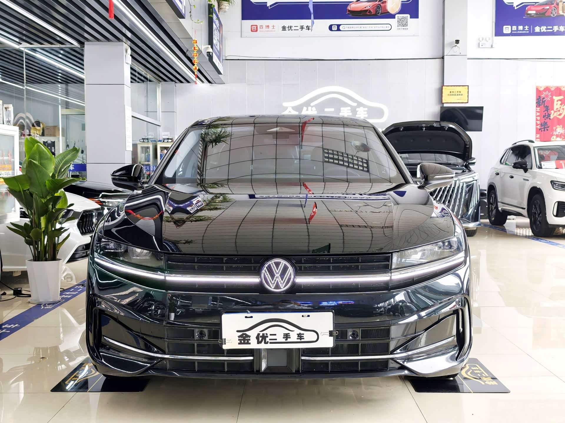 Volkswagen Magotan, 2024 2