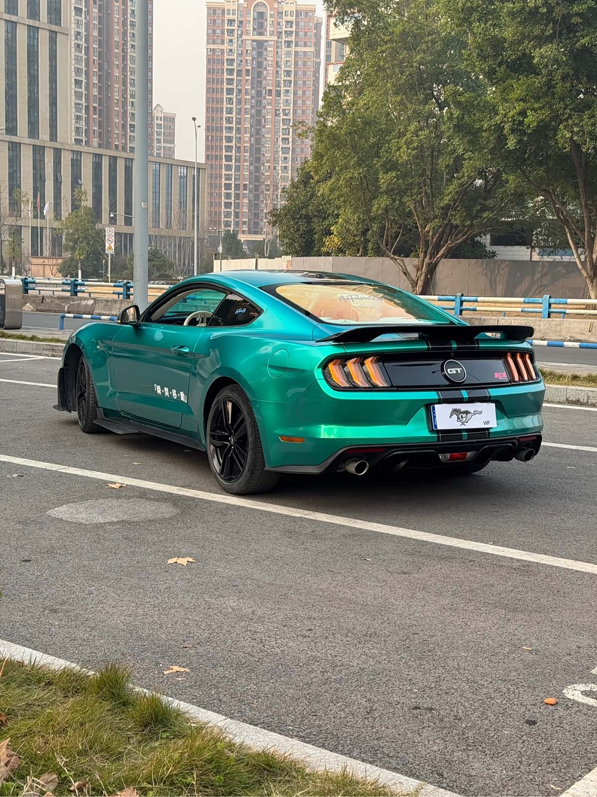 Ford Mustang, 2016 8