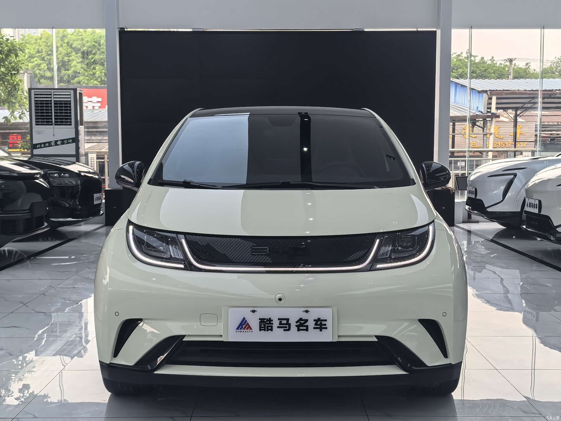 BYD Dolphin, 2023 2